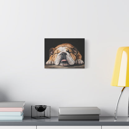 Sleeping Bulldog Canvas Art - Dog Wall Decor