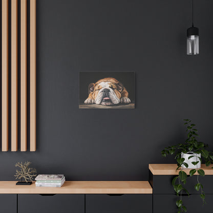 Sleeping Bulldog Canvas Art - Dog Wall Decor