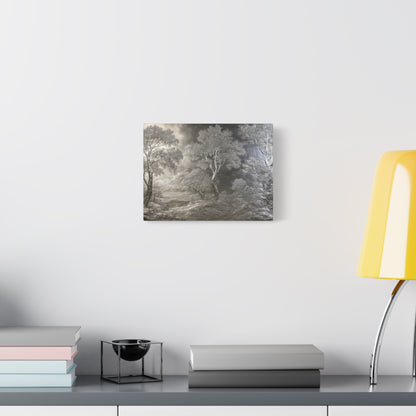 Silver Forest Landscape Art - Canvas
