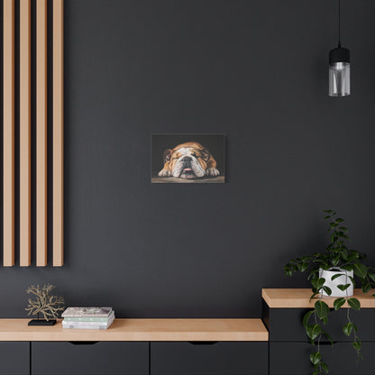 Sleeping Bulldog Canvas Art - Dog Wall Decor