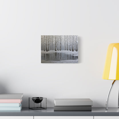 Beautiful Silver Forest Winter Pond - Canvas
