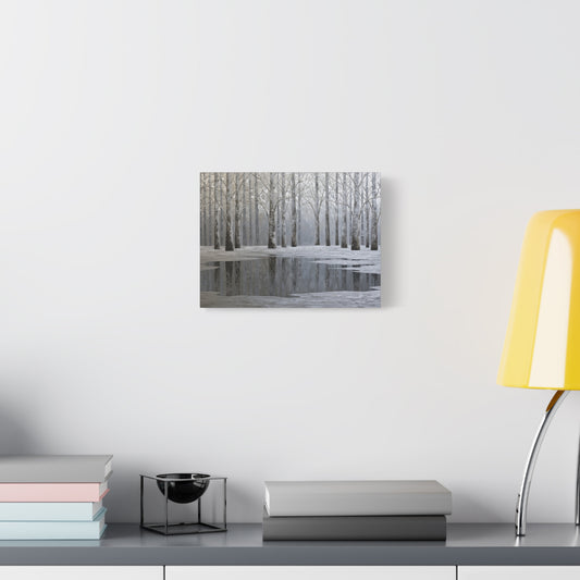 Beautiful Silver Forest Winter Pond - Canvas