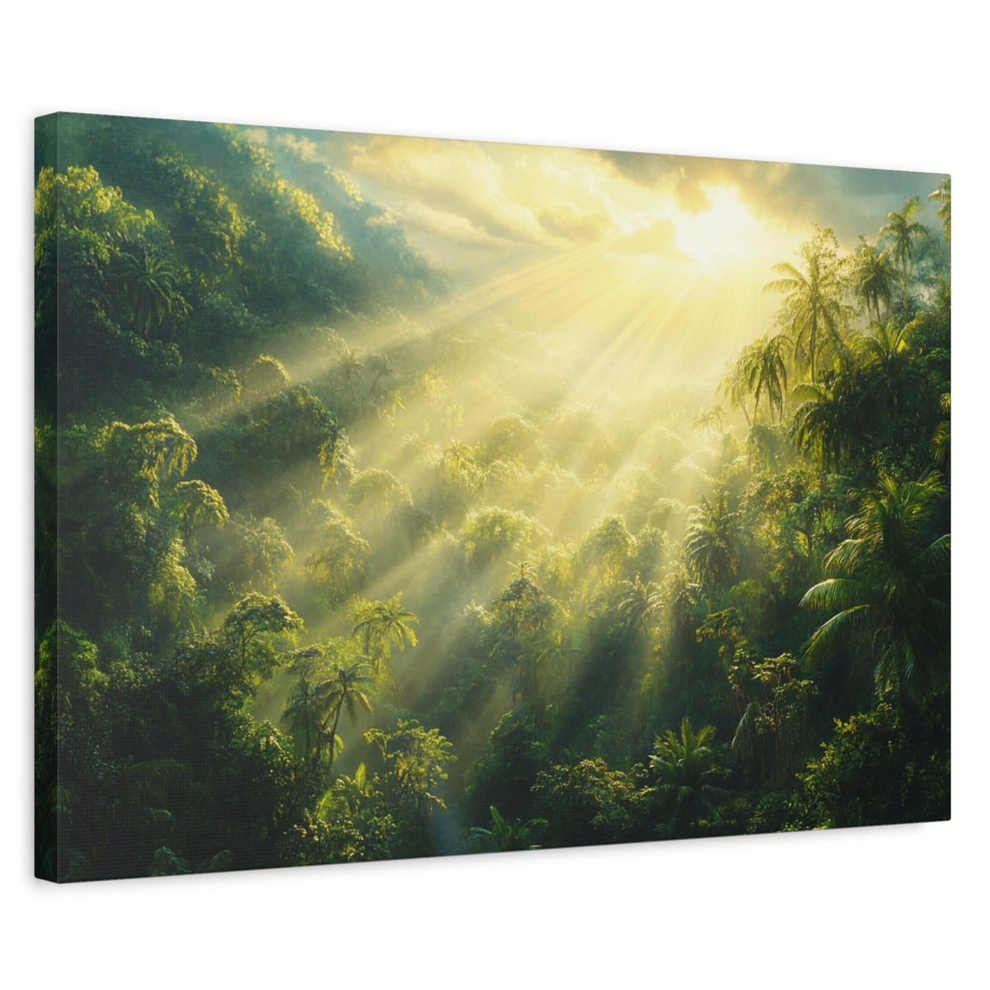 Rainforest Dawn Canvas Art