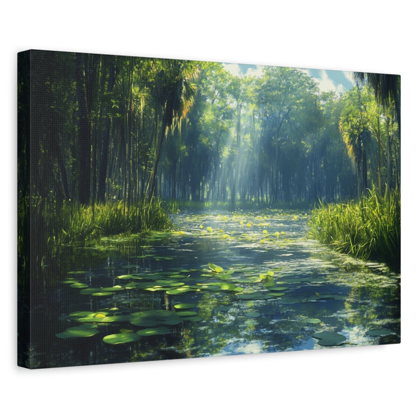 The Light Of The Everglades Canvas Art