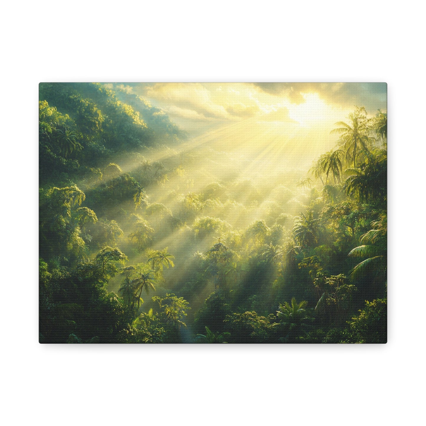 Rainforest Dawn - Canvas