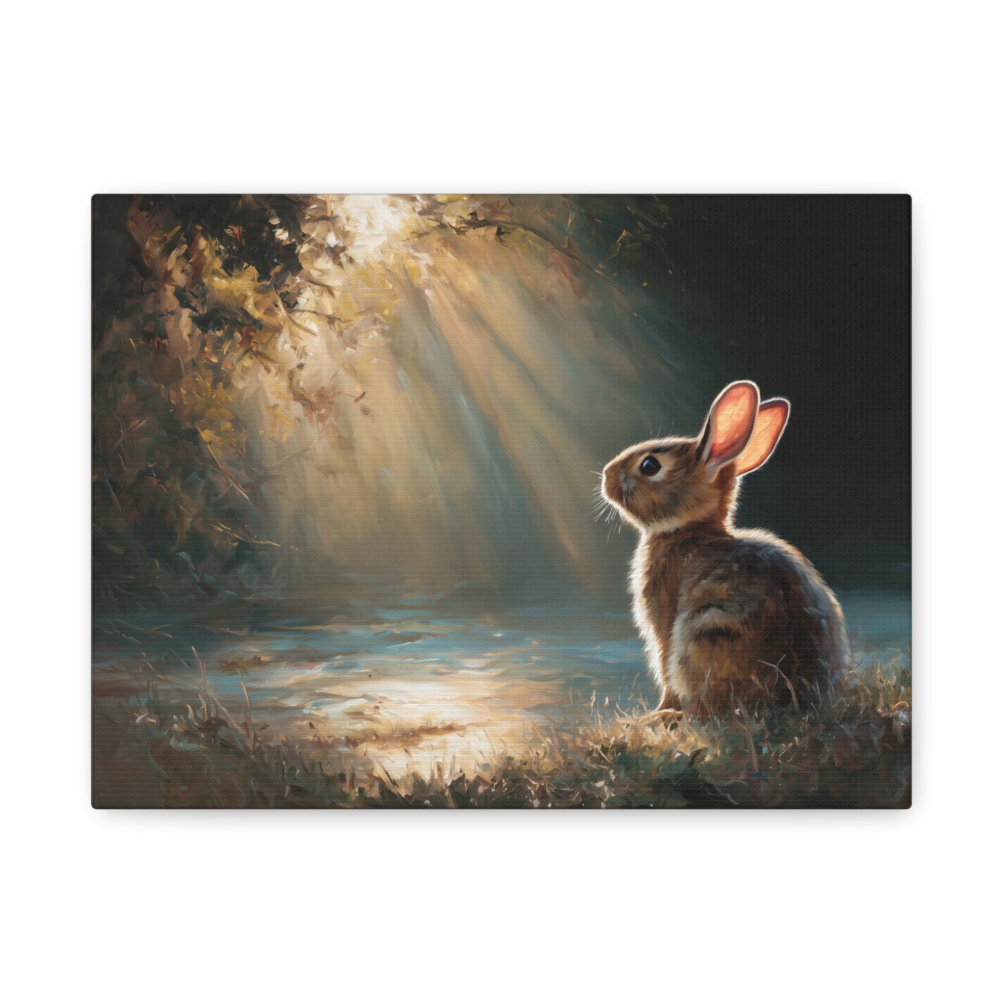 Sunlit Bunny Rabbit Art - Canvas