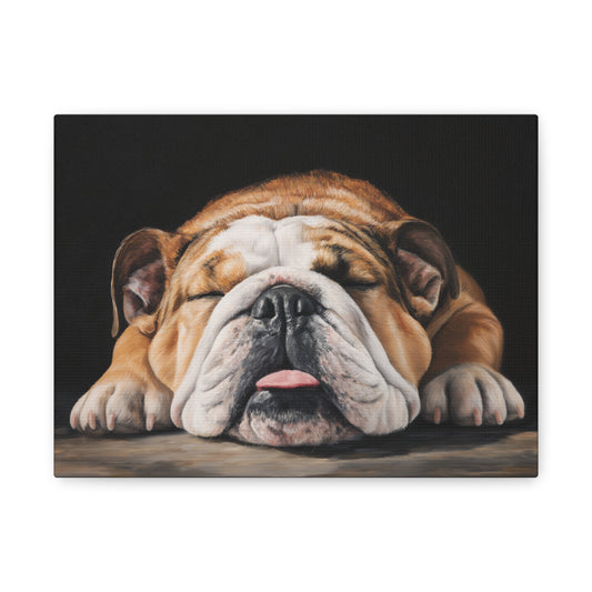 Sleeping Bulldog Canvas Art - Dog Wall Decor