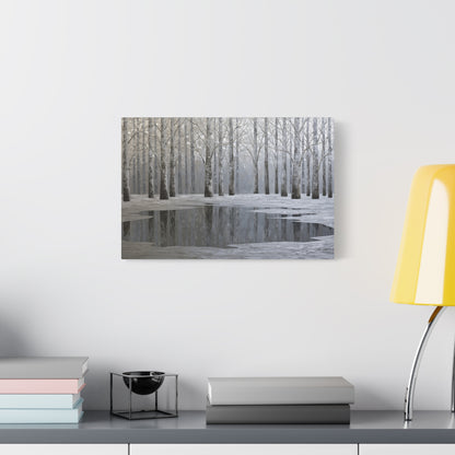 Beautiful Silver Forest Winter Pond - Canvas